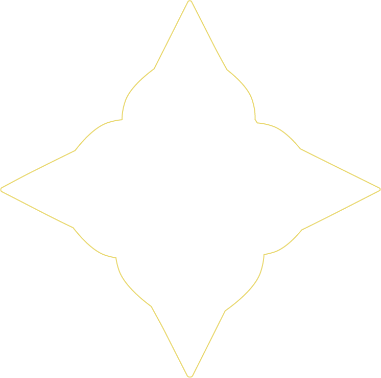 A Stargazer Logo Outline on a Transparent Background
