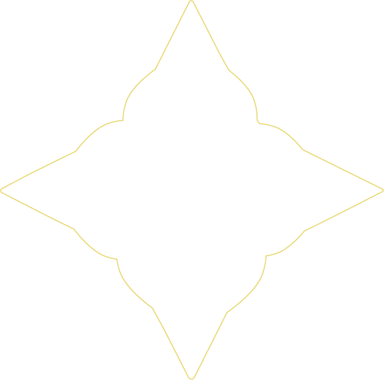 A Stargazer Logo Outline on a Transparent Background